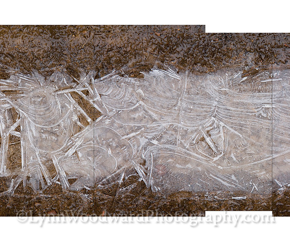 Tracks of Wings, close-up.