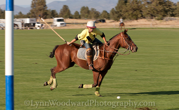 polo scrimmage match