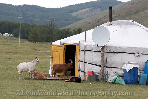 GerStayMongolia-byLWoodward-2871