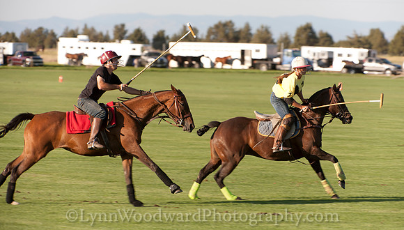 polo scrimmage match
