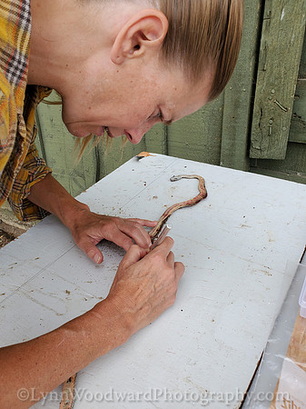 Lee-skin-snake-cell-LCWoodward-131331