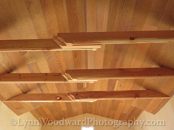 2015-0924-collarties-housenough-1422