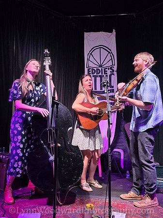 four o clocks eddies attic