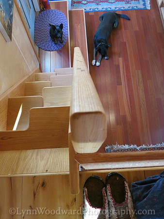 housenough-neardone-2437