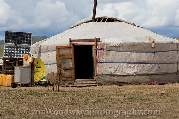 Mongolia-aroundgercamp-LW-7-2170