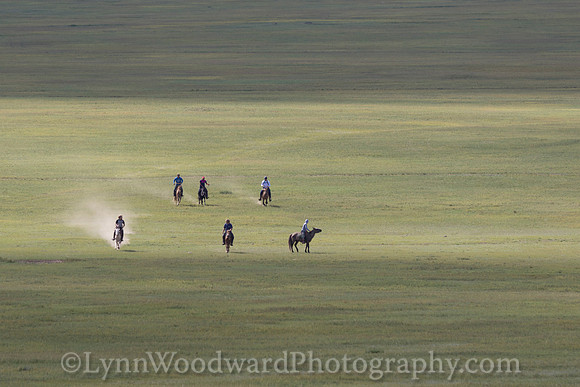 Mongolia-gercamp-day2-LW-7-1695