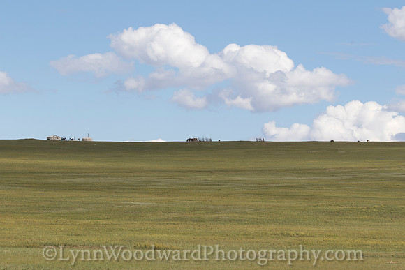 Mongolia-gercamp-day2-LW-7-1692
