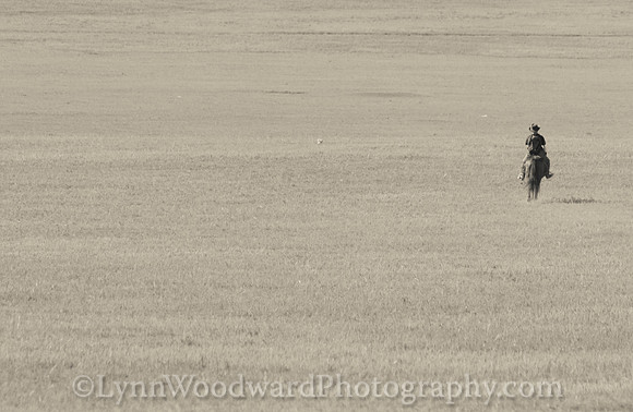 Mongolia-gercamp-day2-LW-7-1768-2