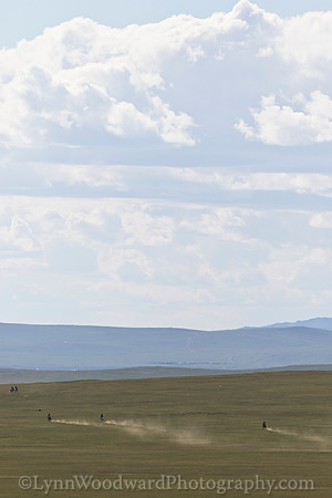 Mongolia-gercamp2-LWoodward-1786