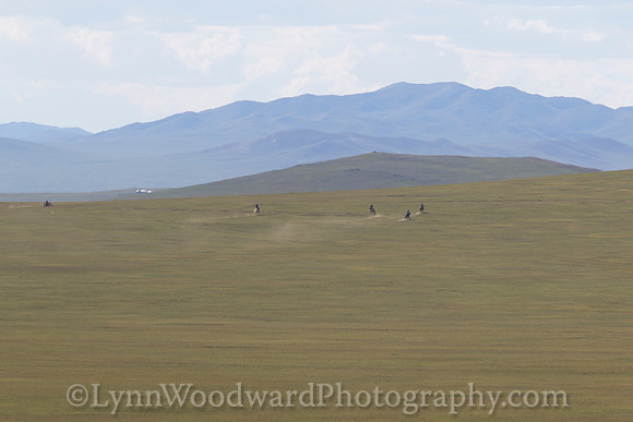 Mongolia-gercamp-day2-LW-7-1796