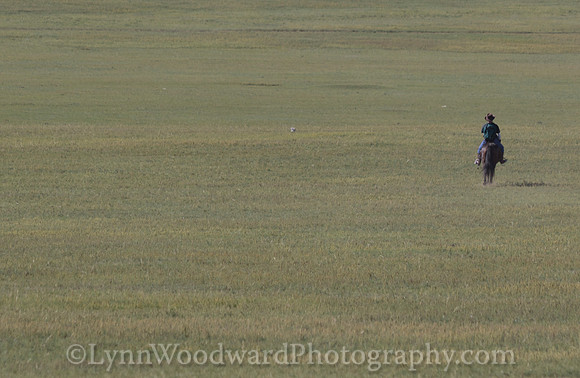 Mongolia-gercamp-day2-LW-7-1768