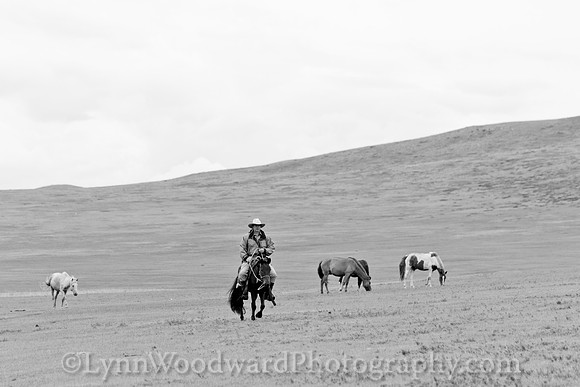 Mongolia-gercamp-day3-LW-7-2003-2