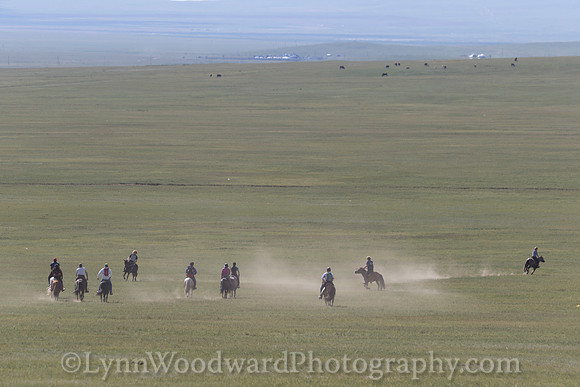 Mongolia-gercamp-day2-LW-7-1767