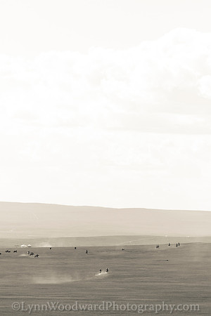Mongolia-gercamp-day2-LW-7-1790