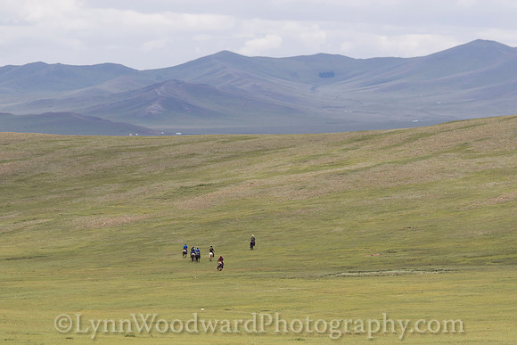 Mongolia-gercamp-day3-LW-7-2024