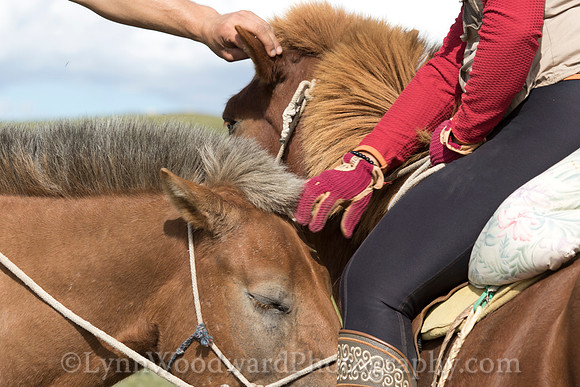 Mongolia-gercamp-day2-LW-7-1733
