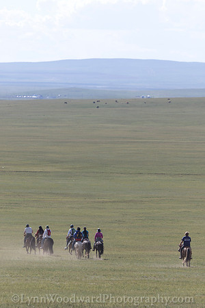 Mongolia-gercamp-day2-LW-7-1761