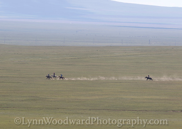 Mongolia-gercamp-day2-LW-7-1777