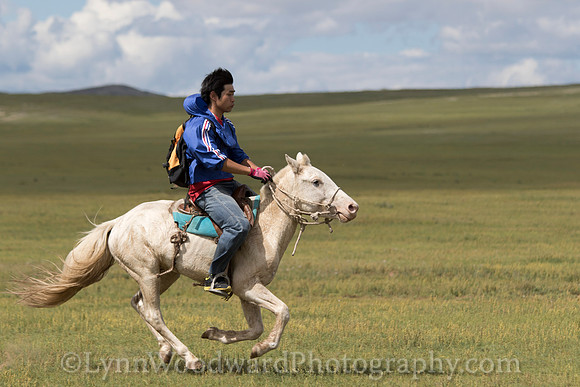 Mongolia-gercamp-day2-LW-7-1663