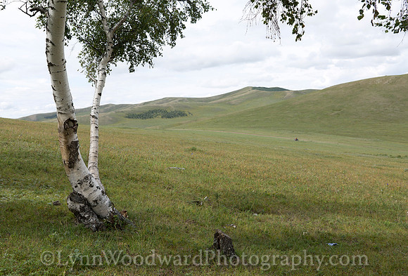 Mongolia-gercamp-day2-LW-5-1544