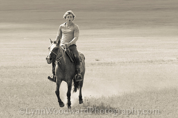 Mongolia-gercamp-day2-LW-7-1703-2