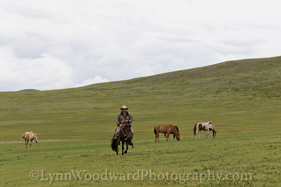 Mongolia-gercamp-day3-LW-7-2003
