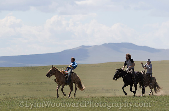 Mongolia-gercamp-day2-LW-7-1673