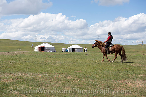 Mongolia-gercamp-day2-LW-5-1486