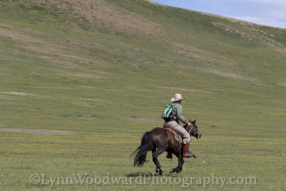 Mongolia-gercamp-day3-LW-7-1952