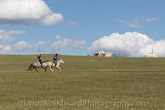 Mongolia-gercamp-day2-LW-7-1705