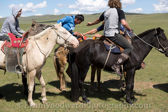 Mongolia-gercamp-day2-LW-5-1495