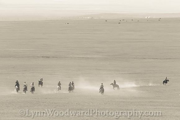 Mongolia-gercamp-day2-LW-7-1767-2