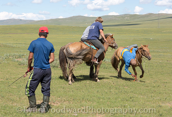 Mongolia-gercamp-day2-LW-5-1493