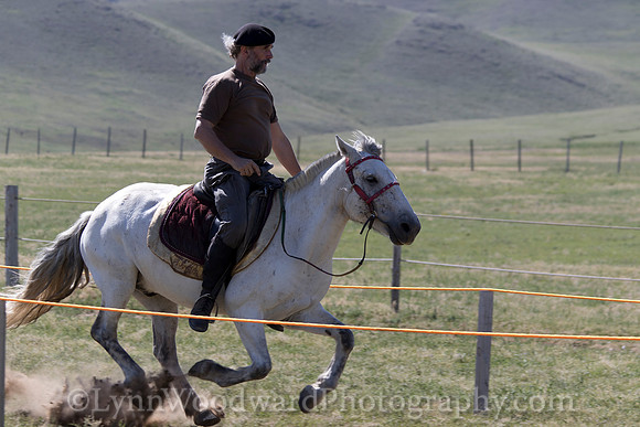 Mongolia-archtourn-practice-LW-7-1019