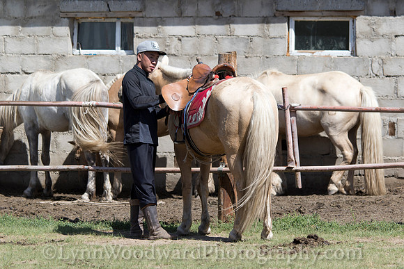 Mongolia-archtourn-practice-LW-7-1078