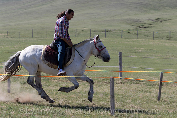 Mongolia-archtourn-practice-LW-7-1007