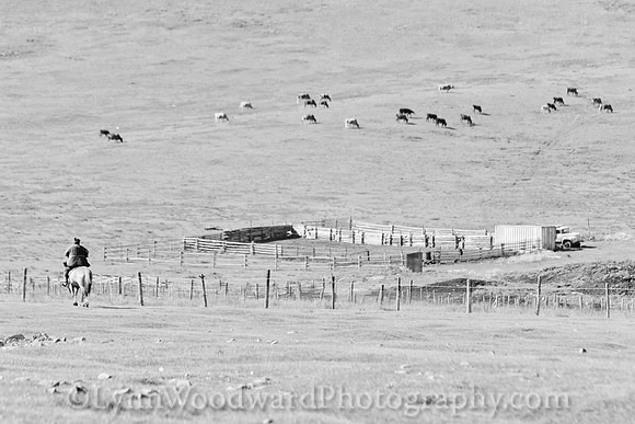 GerStayMongolia-byLWoodward-2689-2