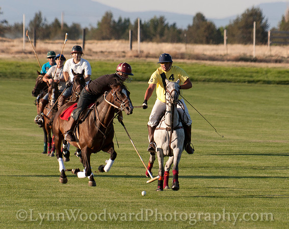polo scrimmage match