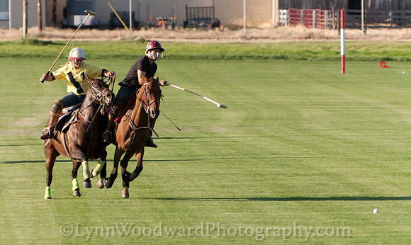polo scrimmage match