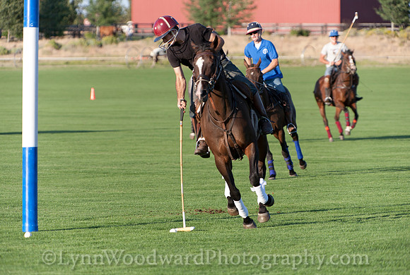 polo scrimmage match