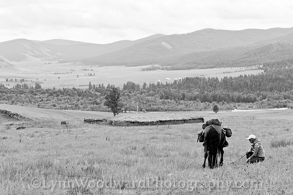 StoneHorseMongolia-byLWoodward-2440-2