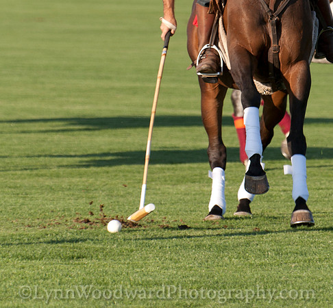 polo scrimmage match