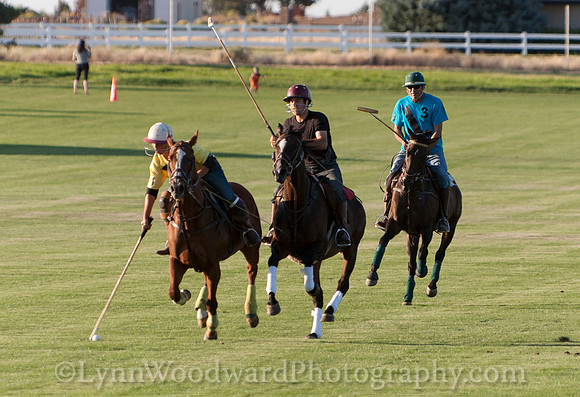 polo scrimmage match