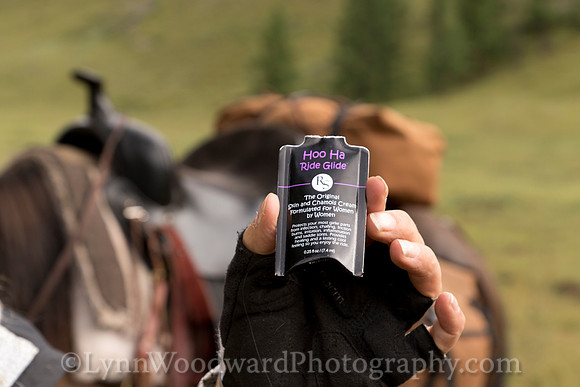 StoneHorseMongolia-byLWoodward-2386