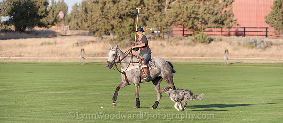 polo scrimmage match
