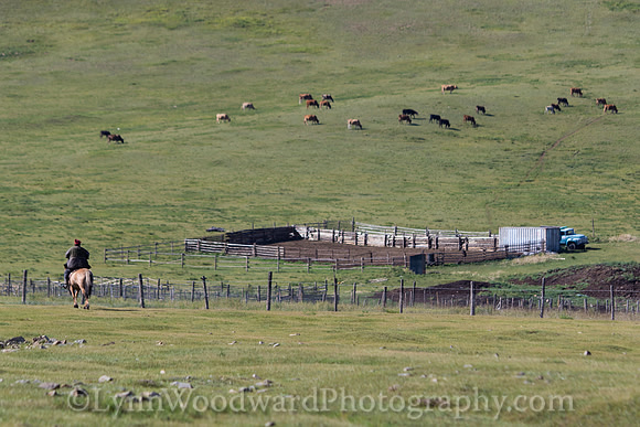 GerStayMongolia-byLWoodward-2689