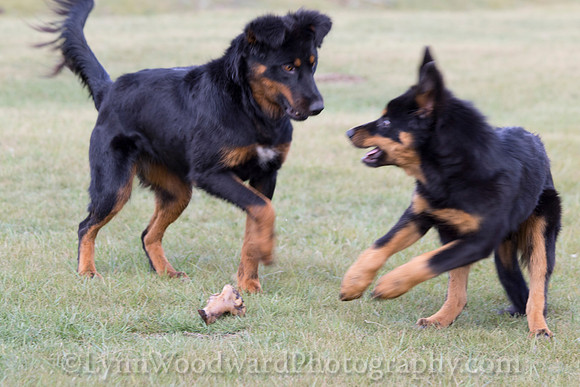 GerStayMongolia-byLWoodward-2943