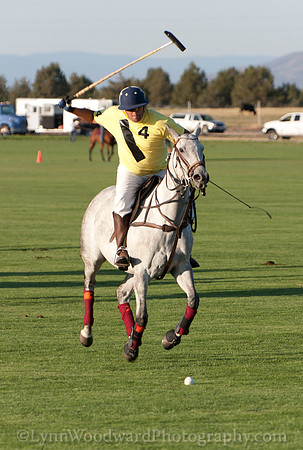 polo scrimmage match