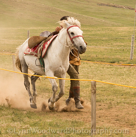 Mongolia-archtourn-LW-5-1218-2