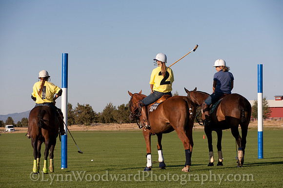 polo scrimmage match